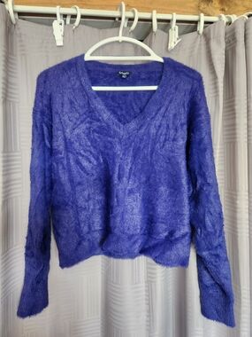 Extremely Soft Electric Blue Sweater